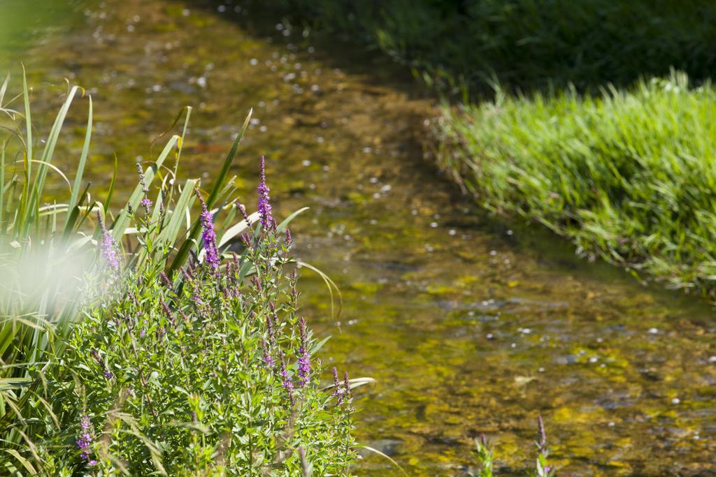 Hotel Du Bosquet Pégomas Eksteriør billede